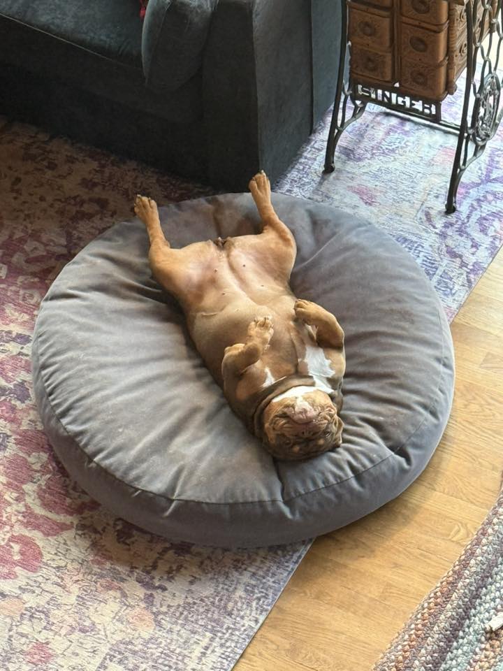 596490720_10164413159944935_3646733731886835421_n