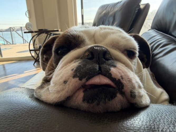 596603130_10231332486160077_5642715157076475861_n